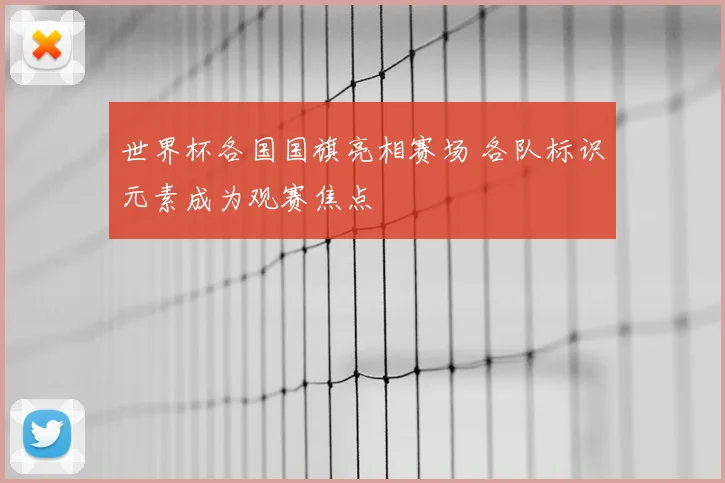 世界杯各国国旗亮相赛场 各队标识元素成为观赛焦点
