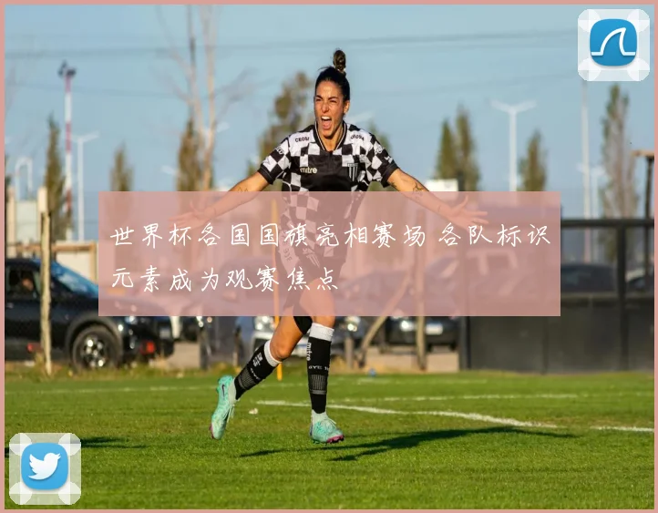 世界杯各国国旗亮相赛场 各队标识元素成为观赛焦点