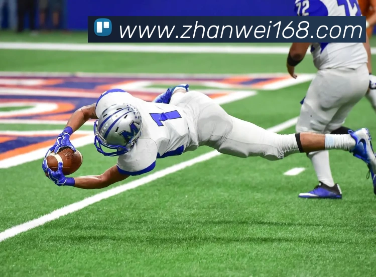 世界杯官网登录app平台生态图